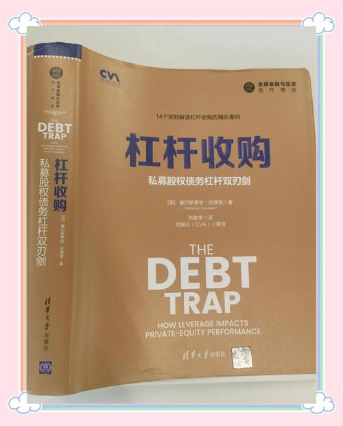 什么是杠杆炒股_杠杆影响投资者绩效_中国期货市场脱敏账户数据