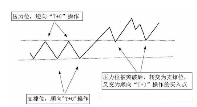 1000元炒股一个月_T+0操作纪律与技巧_股票操作失误原因分析