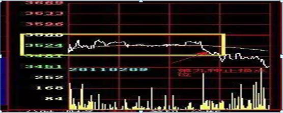  单只股票投资技巧 _1000元炒股一个月_