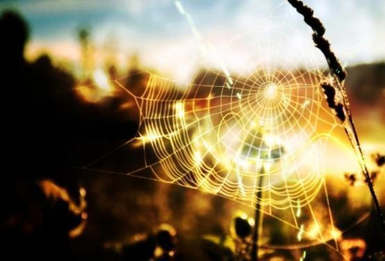 炒股的技巧和方法 富翁丢狗酬金涨至全城惊讶，乞丐因贪婪最终一无所获