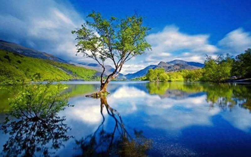 期货新手必看！办理账户时如何选公司及关注服务费率？