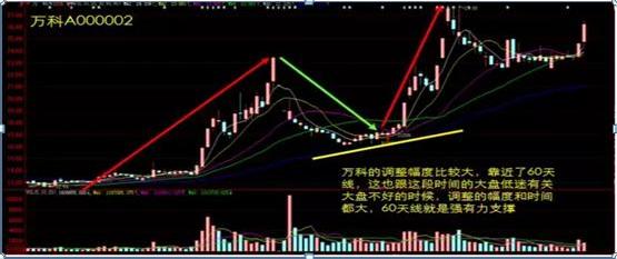 财牛股配_短线牛回头战法_散户亏钱的根本原因