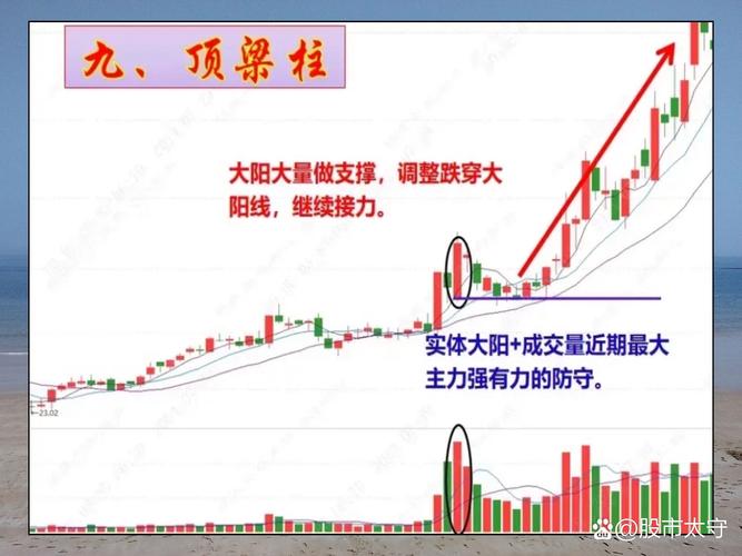 机构投资者特点与优势_A股机构投资者与散户投资者差异_专业配资平台
