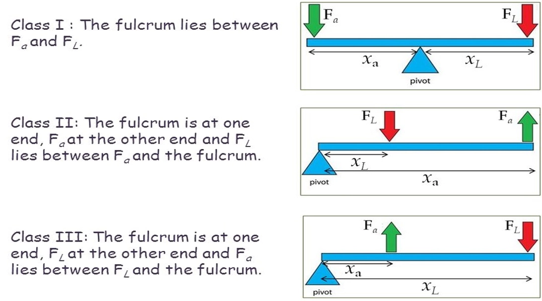 杠杆配资开户_杠杆原理 力与力臂 作用力与抗力