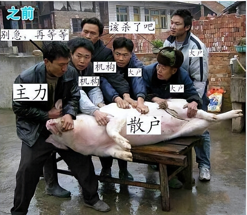 27岁创业失败者30岁借钱炒股散户经历_杠杆炒股家破人亡_炒股散户如何实现财务自由