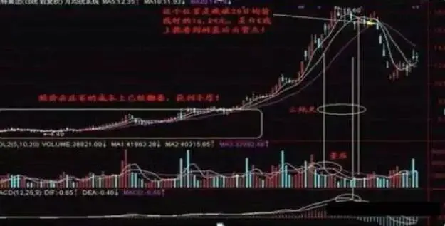 股票怎么玩_周线选股技巧_长线投资策略