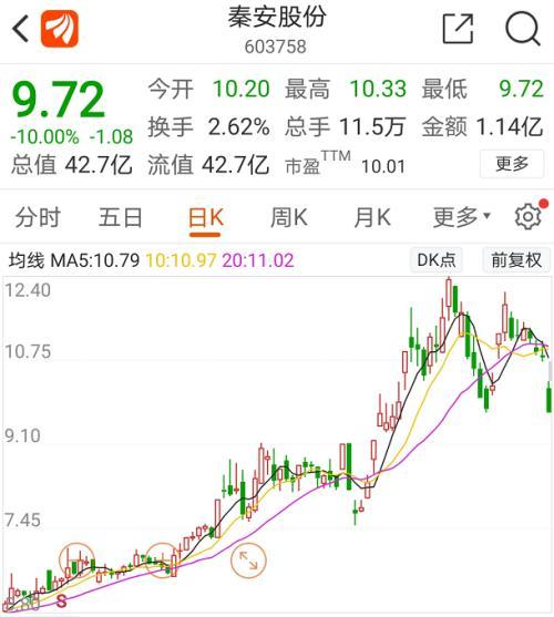 秦安配资 A股期神翻车！秦安股份期货巨亏，股价跌停引深思？