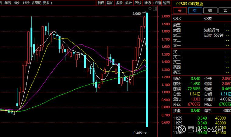 苏州股票配资_东兴证券南京庐山路证券营业部配资_苏州龙杰闪崩