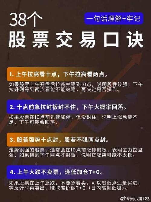 配资炒股配资市场运作方式_配资炒股配资基本交易知识_股票配资交易