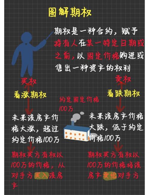 股票期权交易指南：起源、定义与市场发展，投资者必读