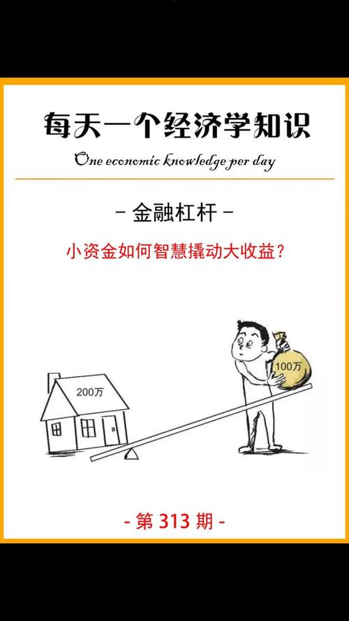 制造业资金需求与杠杆调整_股票如何使用杠杆_金融行业融资杠杆运用