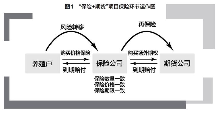 期货配资怎么操作？两步搞懂流程与风险